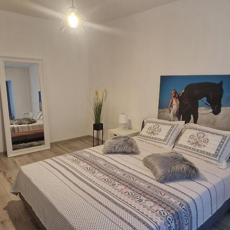 Apartament De Lux Craiova Kültér fotó